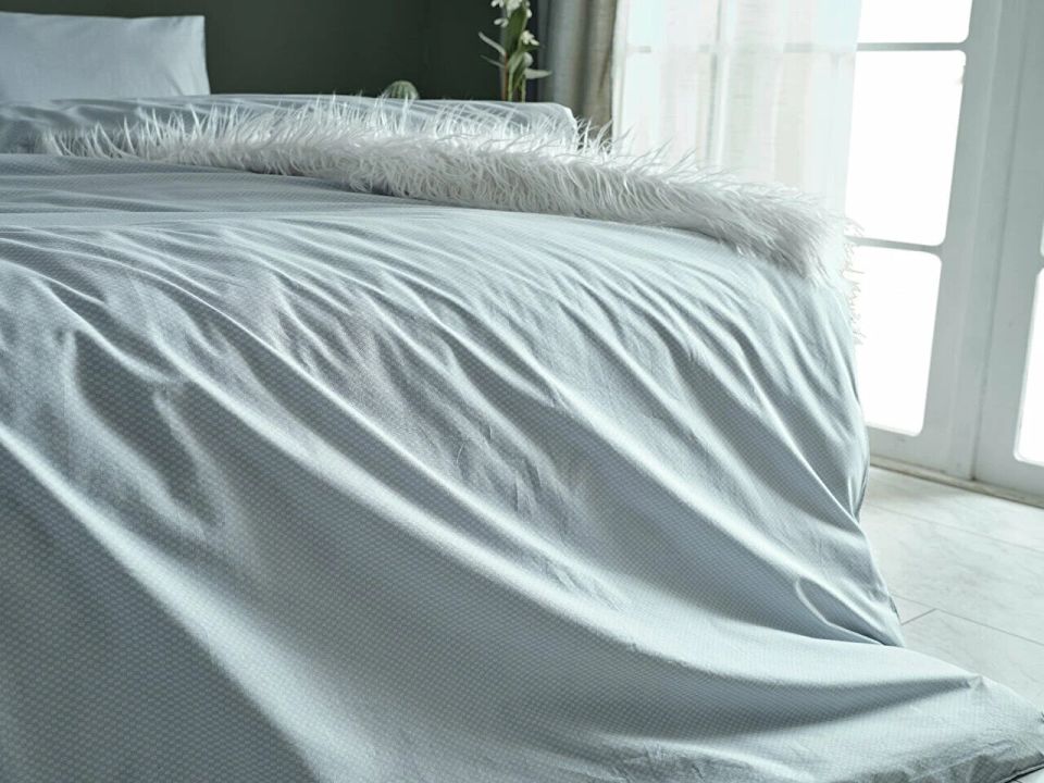 Dreamlife Nevresim Takımı Tek Kişilik - Yeşil