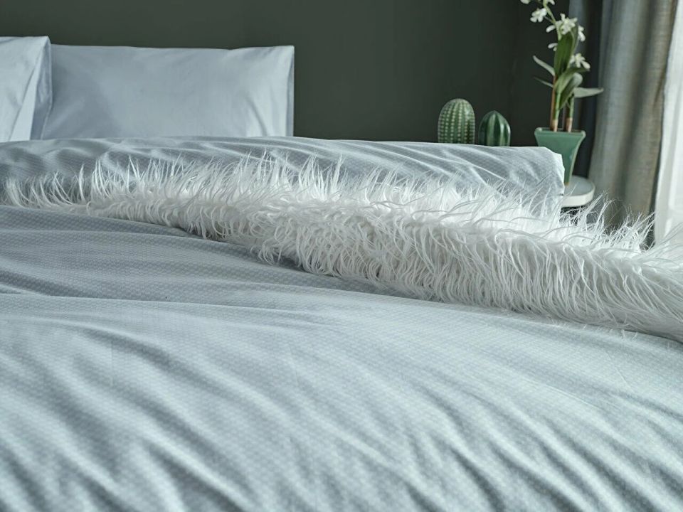 Dreamlife Nevresim Takımı Tek Kişilik - Yeşil